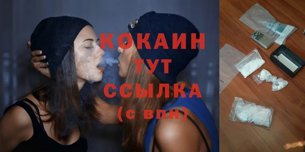 ешки Алексин