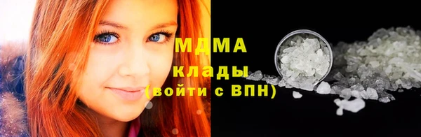гашик Тайга
