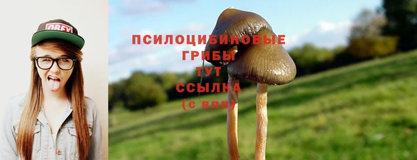 ешки Алексин