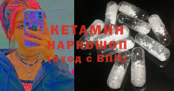 ешки Алексин