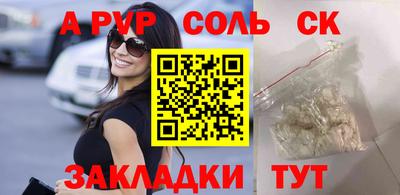 бошки Кингисепп