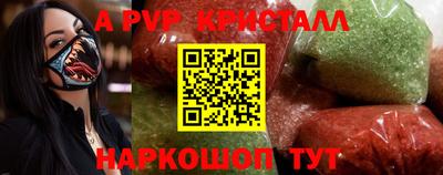 бошки Кингисепп
