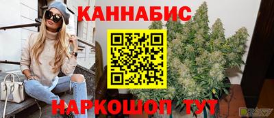 бошки Кингисепп