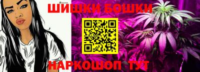 spice Камышлов