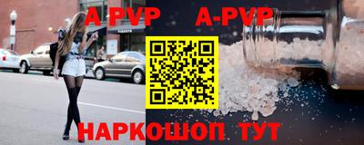 бошки Кингисепп