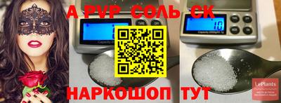 бошки Кингисепп