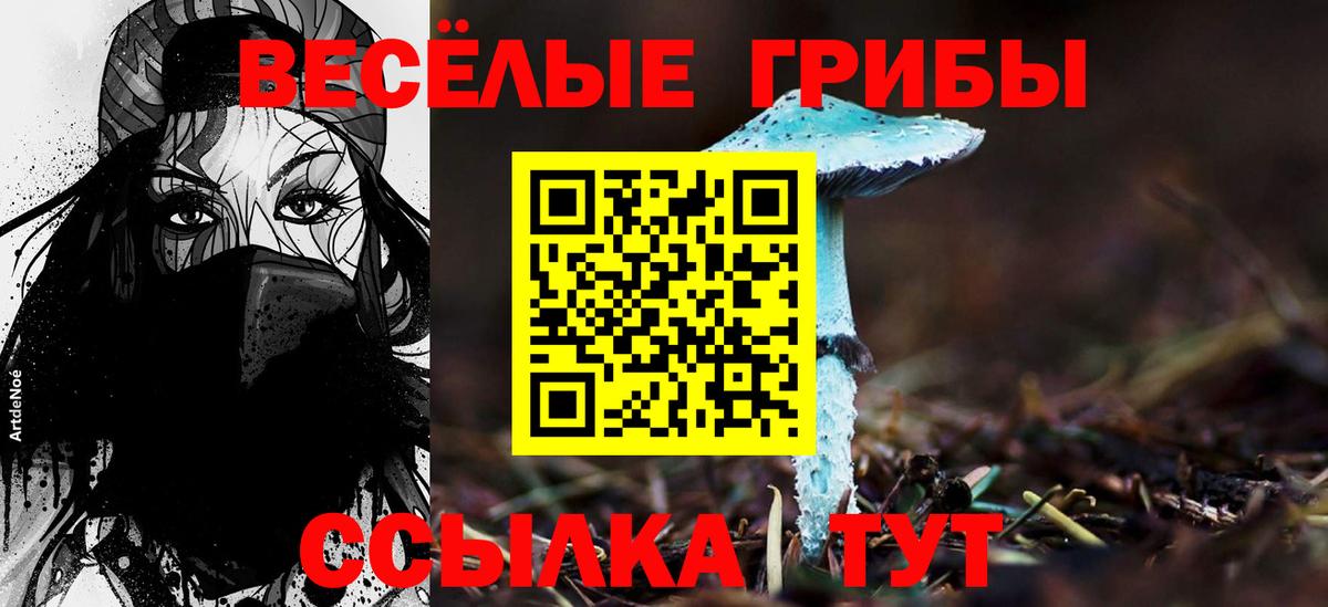 Псилоцибиновые грибы Psilocybine cubensis  Вход с VPN  Псилоцибиновые грибы Psilocybine cubensis  Копейск 