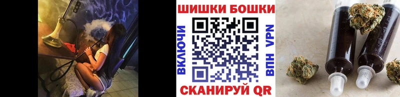 дарнет шоп  Копейск  Марихуана сатива 